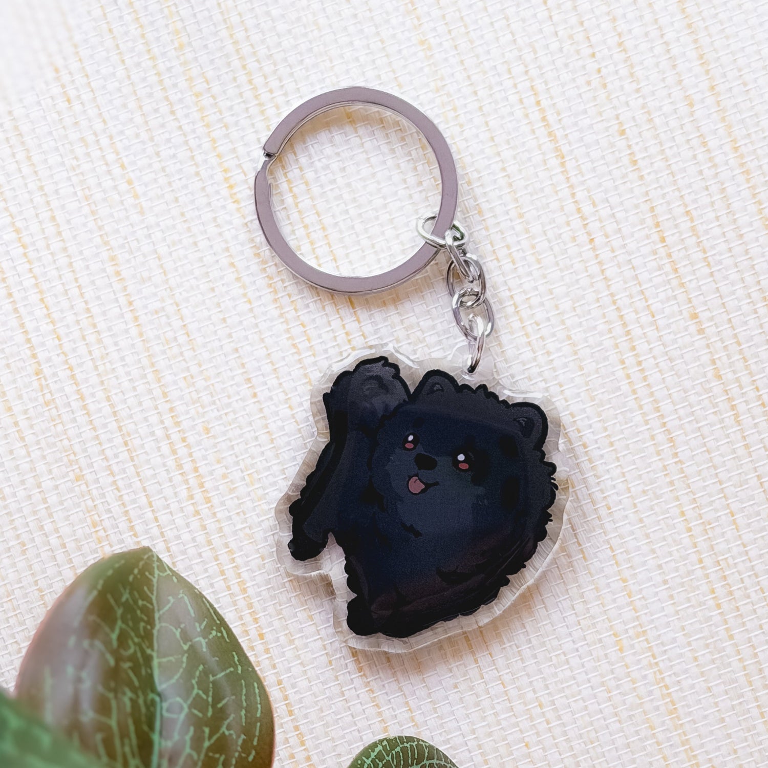 miamouz-spitz-emaille-pin-hund-schwarz-normal image 1