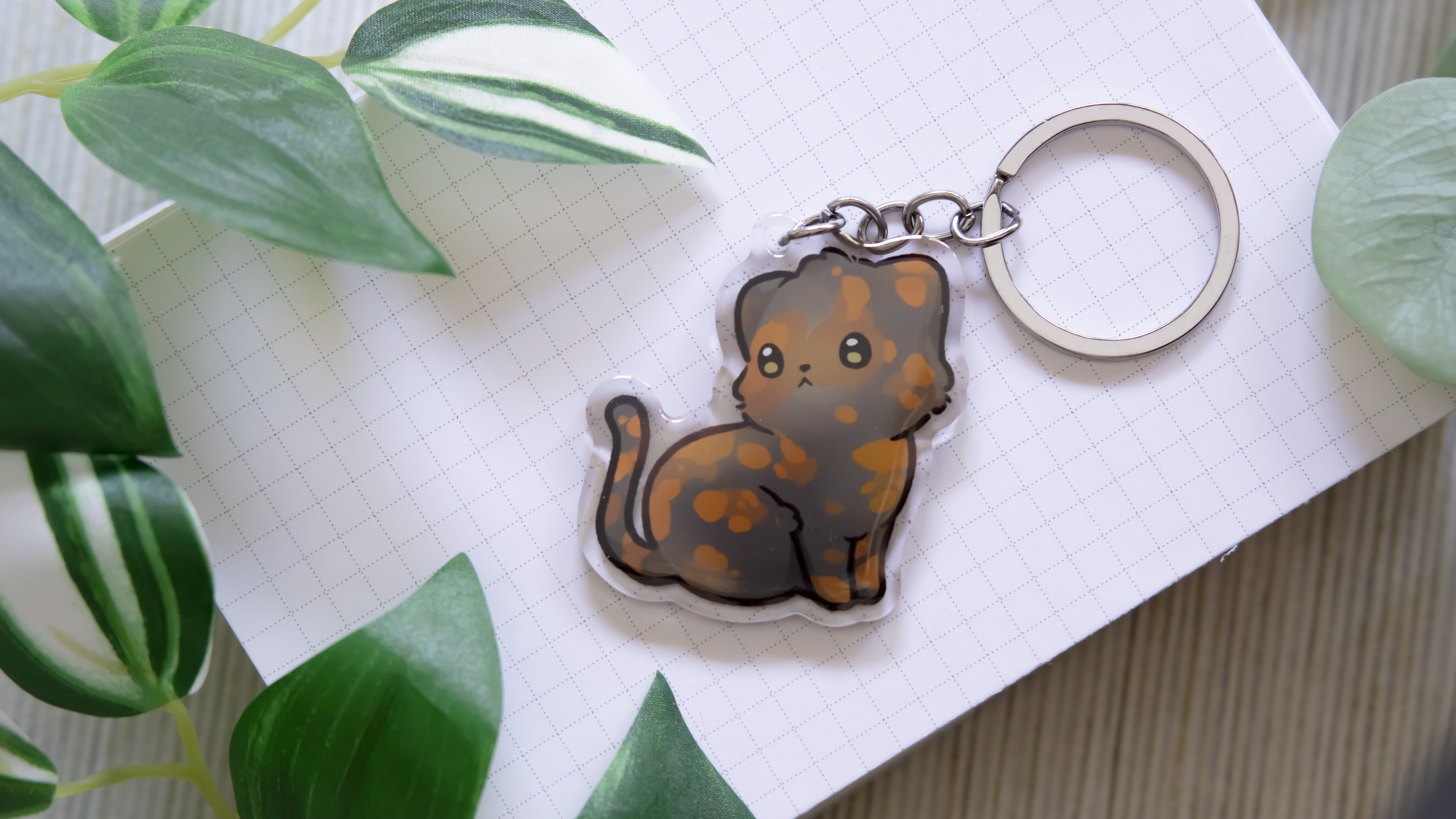 miamouz-european-short-hair-katzen-schl-sselanh-nger-schwarz image 3