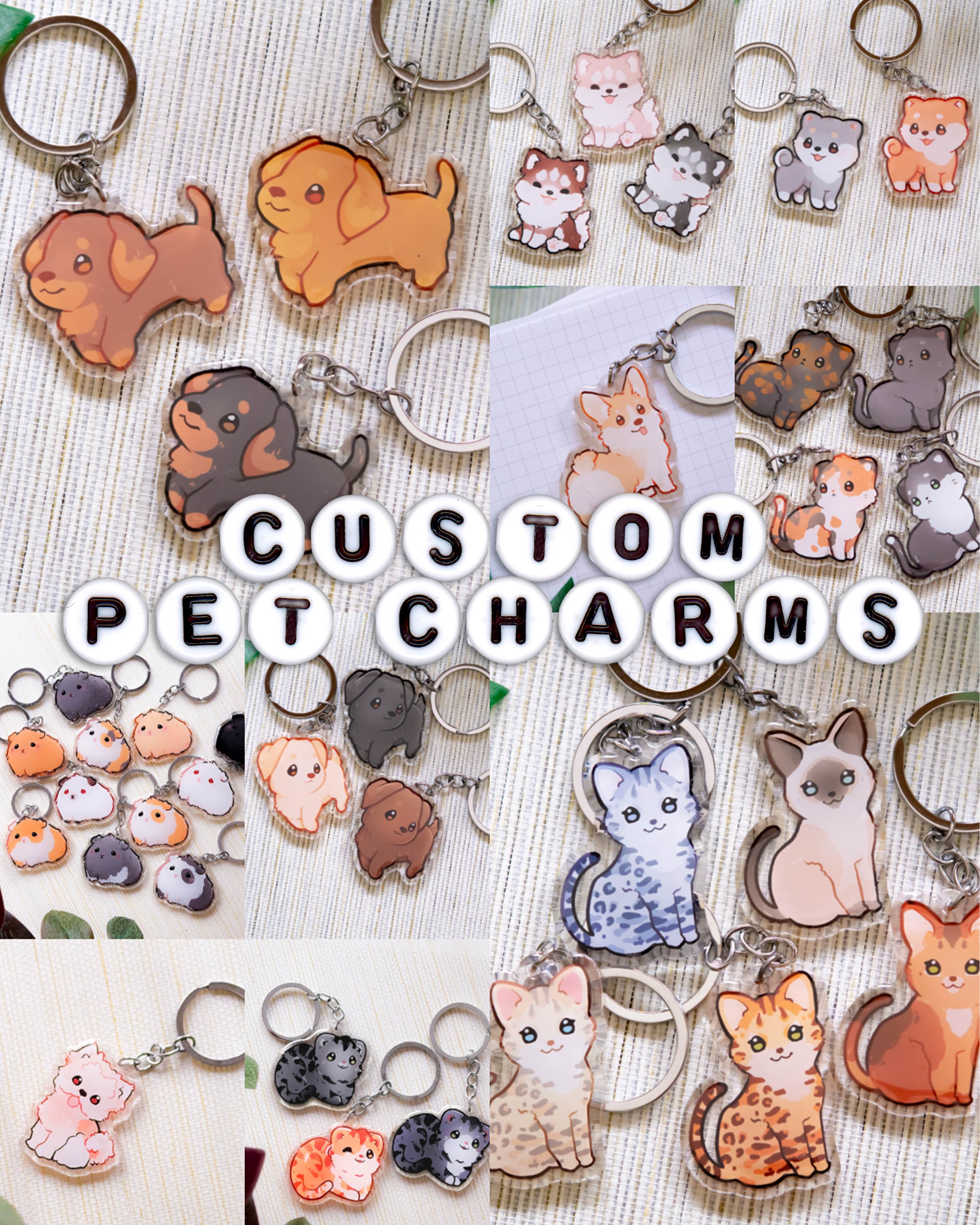 miamouz-custom-pet-schl-sselanh-nger-1-tier-acryl-pers image 1