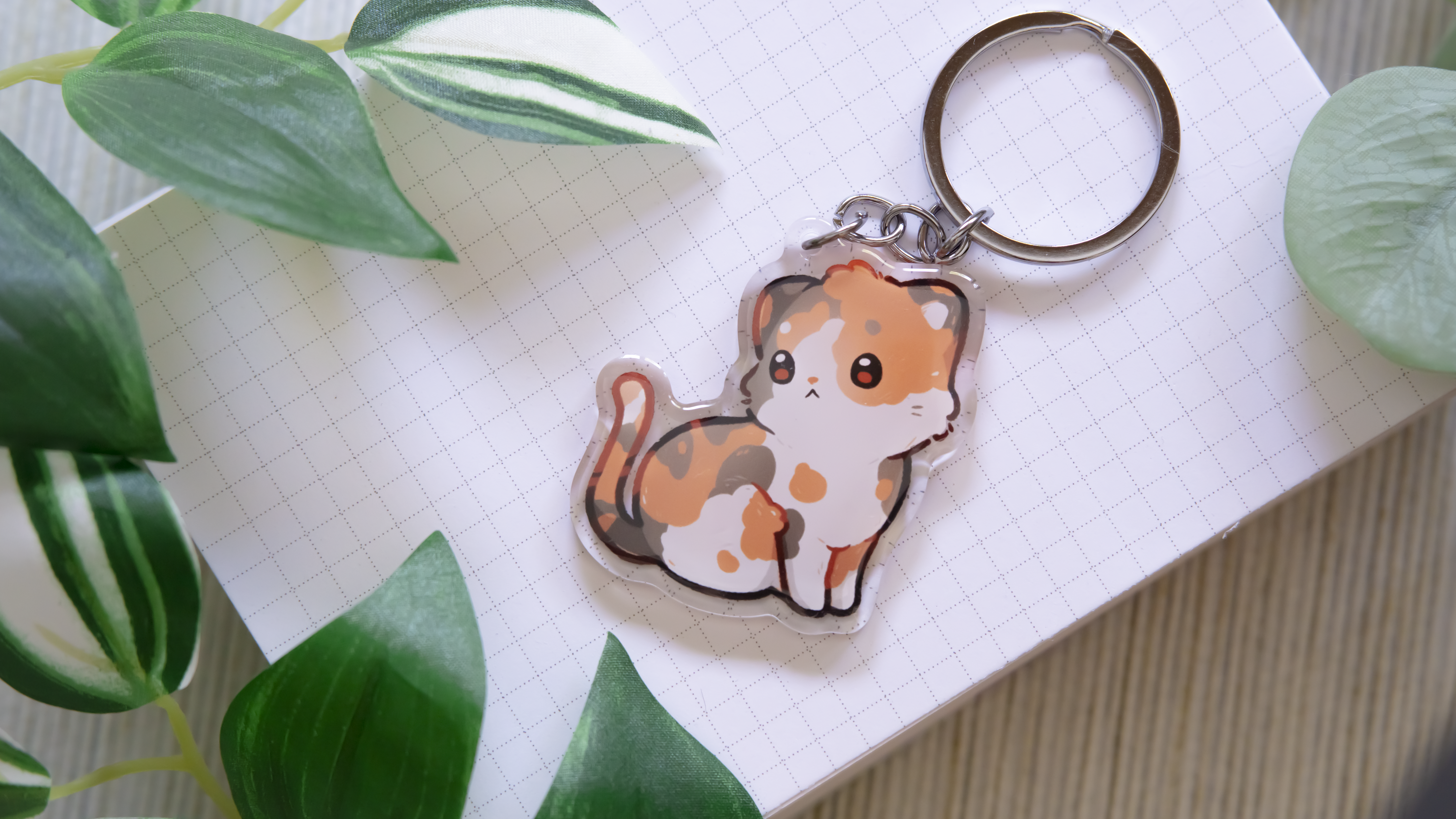 miamouz-european-short-hair-katzen-schl-sselanh-nger-schwarz image 2